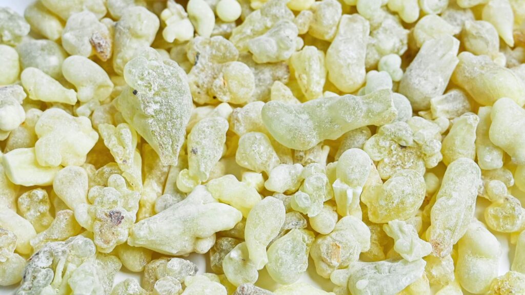  Royal Hojari Frankincense ( Green type of frankincense) 