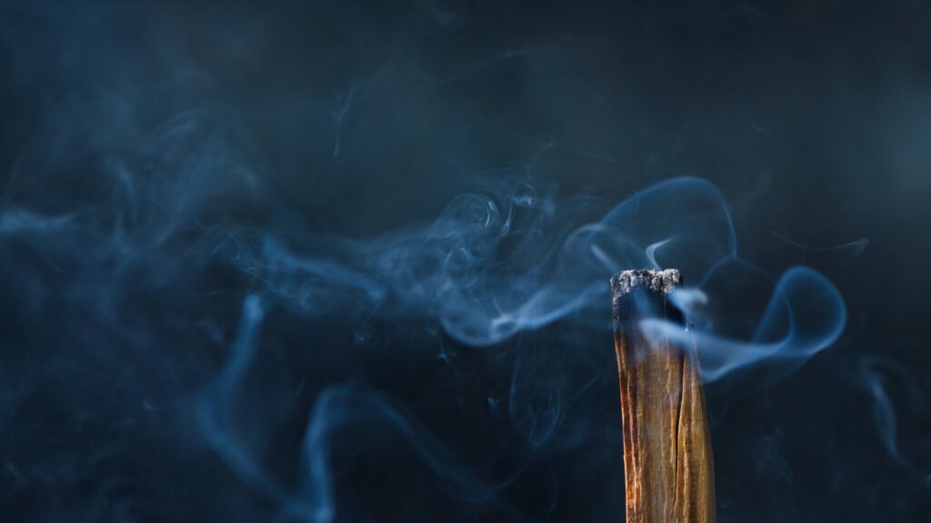 Palo Santo Sticks: Unlock the Powerful Secret to Elevated Energy Palo Santo Stick Burning