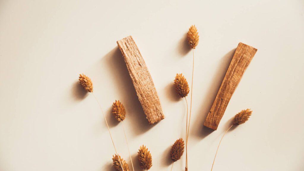 Palo Santo Sticks: Unlock the Powerful Secret to Elevated Energy Palo Santo Sticks